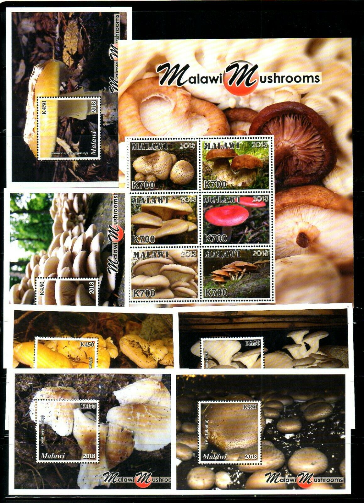 Malawi, 2018, Mushrooms, 6m/s+,s/s,mnh,