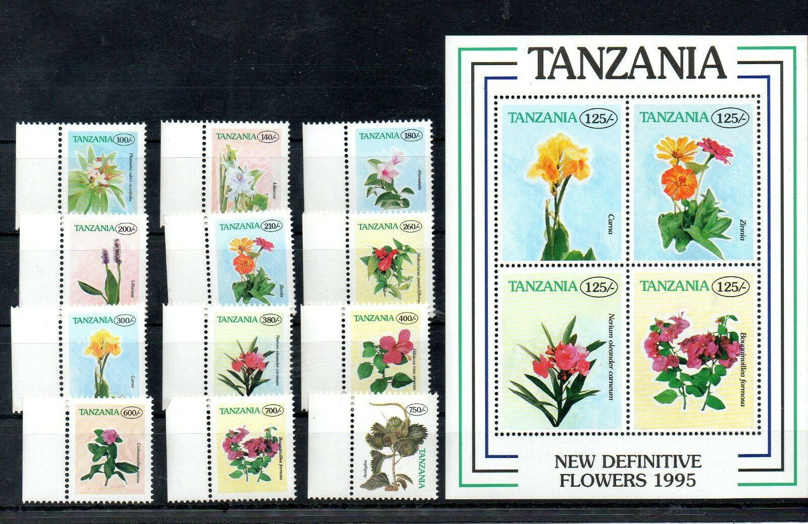 Tanzania, 1997, Flowers, 12v.+m/s, Mnh