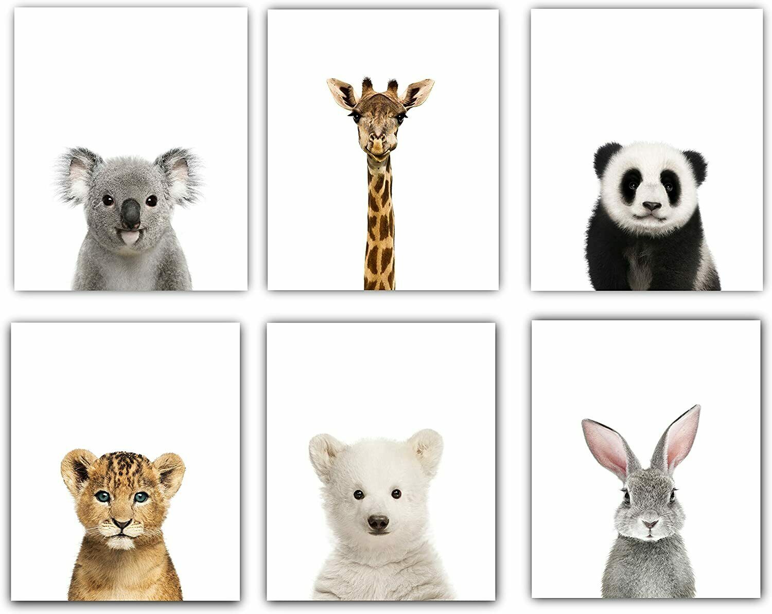 Baby Nursery Decor Pictures 8x10 Set Of 6 Unframed Cute Animal Wall Prints Room
