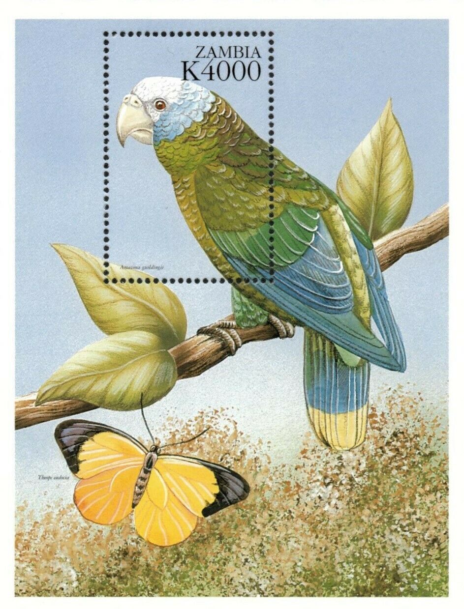 Zambia 1999 - Flora And Fauna, Parrot, Butterfly - Souvenir Sheet - Sc 829 - Mnh