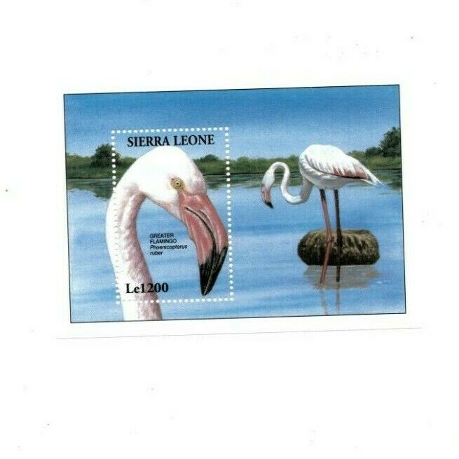Vintage Classics - Sierra Leone 1739 - Flamingo - Souvenir Sheet - Mnh