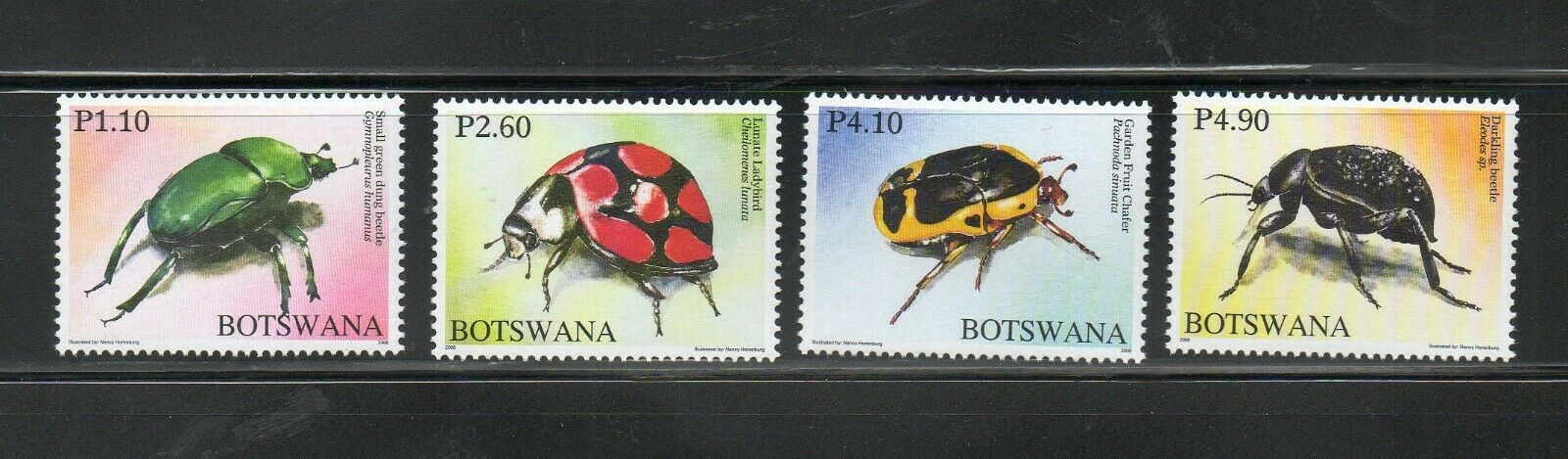Botswana, 2008, Insects, 4v  Mnh**,