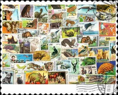 Animals : 300 Different Stamps Mixture