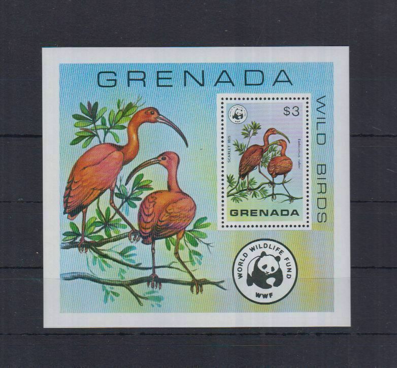 6w Grenada - Mnh - Nature - Birds - Wwf