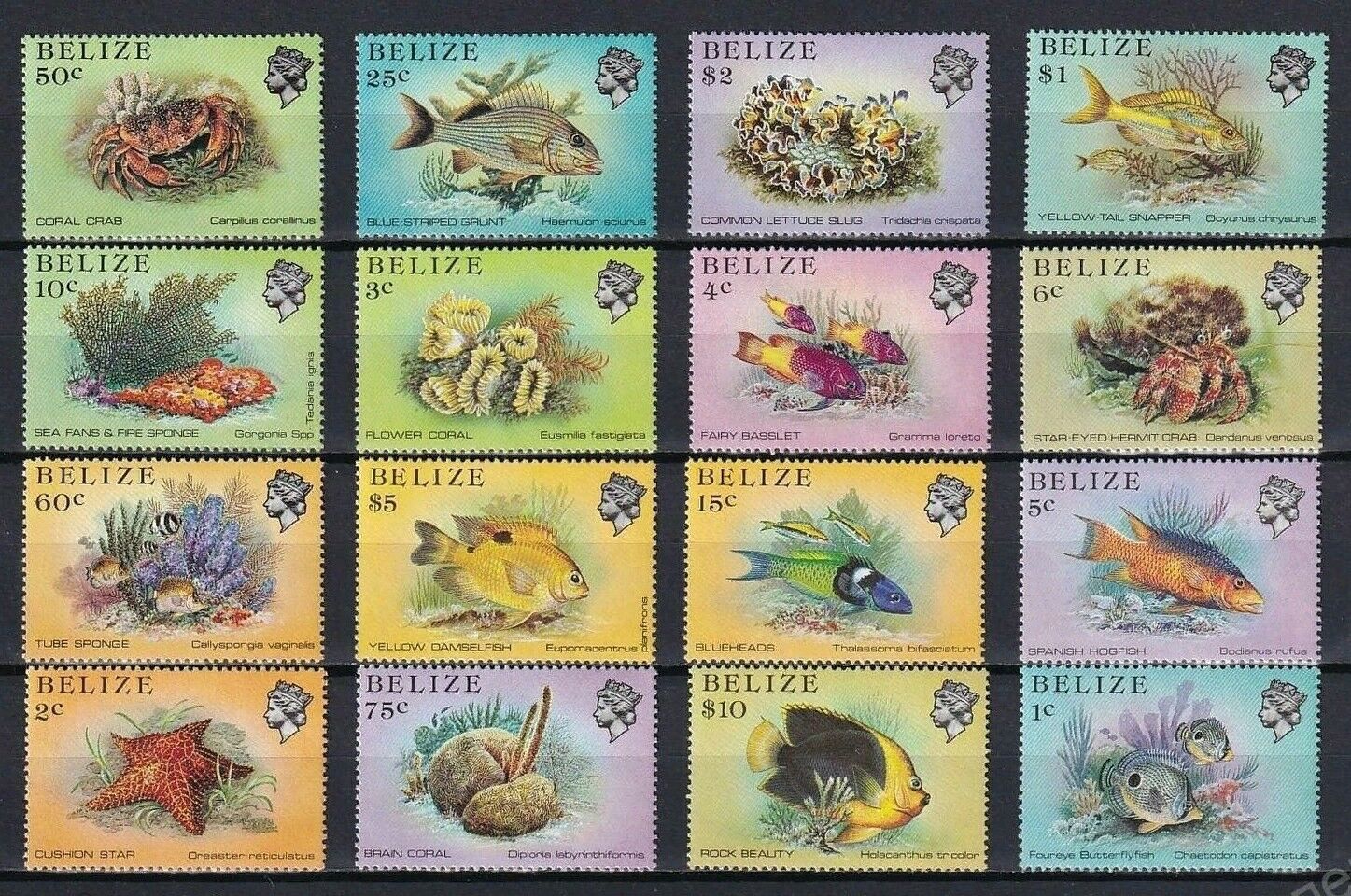 Belize 1984 Fish Marine Life Set 16v Mnh