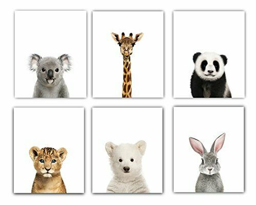 Baby Nursery Decor Pictures (8x10) | Set Of 6 (unframed) Cute Animal
